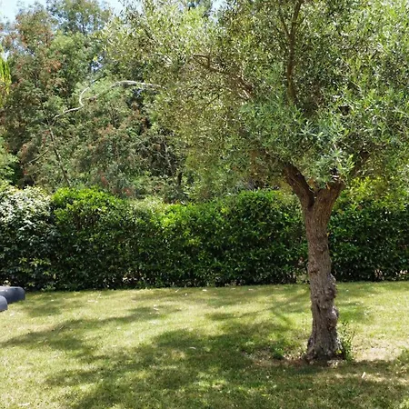 Katiris Semesterbostad Porto-Vecchio (Corsica)